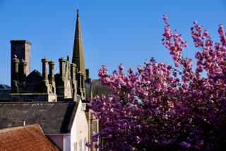 A building with a spire surrounded by pink flowers and trees under clear blue sky.