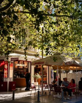 A cafe, seats and tables under the shade of a tree.