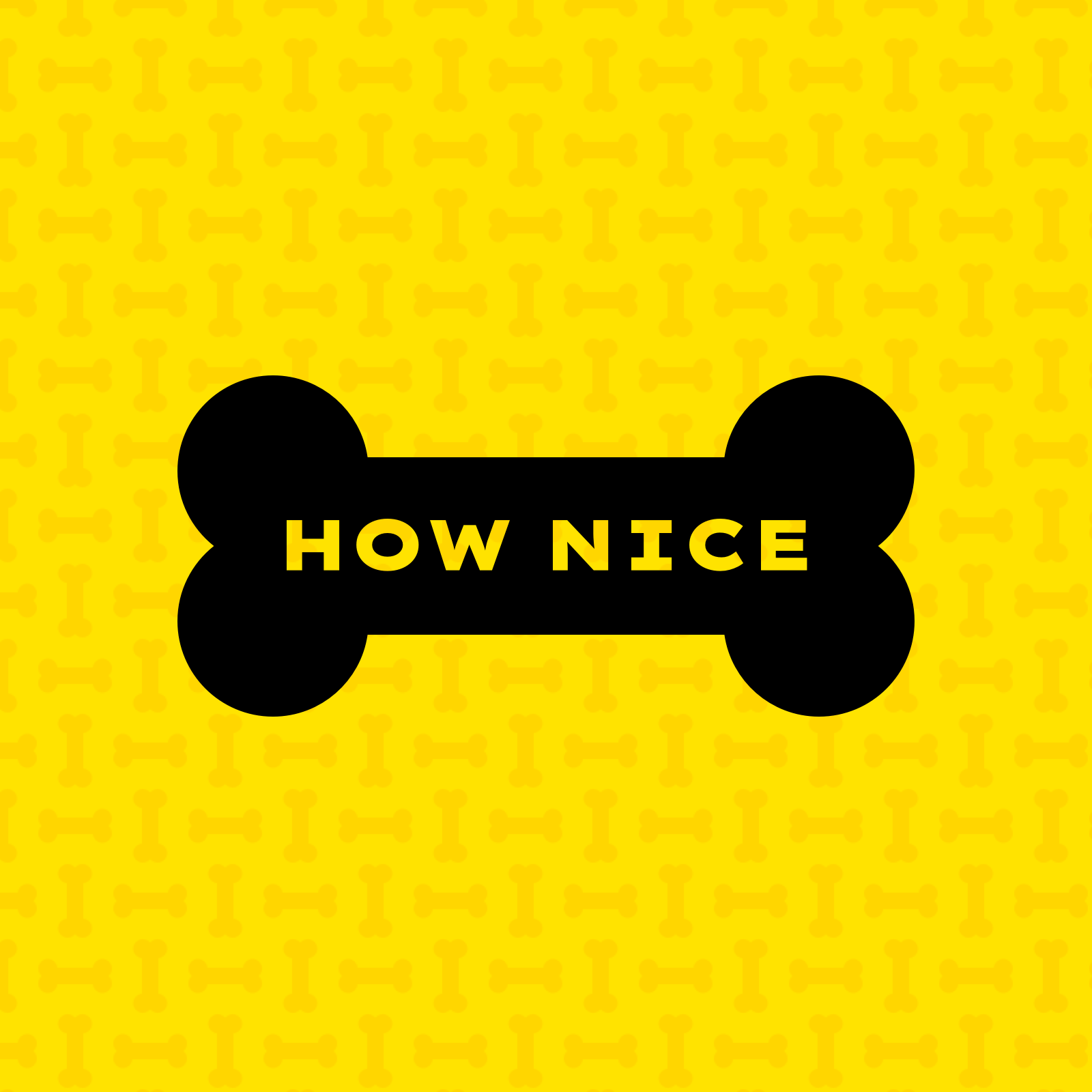 How Nice · Paul Robert Lloyd